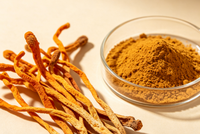 Cordycepine en vrac 1% - Extrait de champignon Cordyceps Sinensis Militaris de qualité alimentaire en poudre - Cordycepine