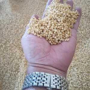 Fosfato Monoamônico de Alta Qualidade MAP NH4H2PO4 NPK12-61-0 Fosfato de Dihidrogênio Amônico Venda Direta de Fábrica - Product Image 5