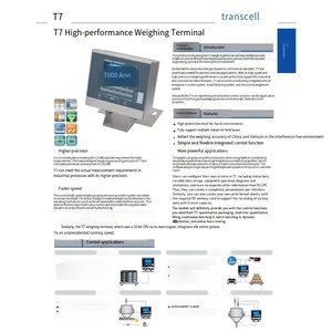 VEIDT - Sistema de Pesaje para Controlador American Transcell Transmission T7, Dispositivo T7-1920, T7-2000, Instrumento de Visualización T7-2120, T7 High Pr - Product Image 5