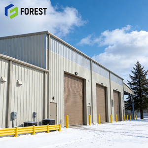 Entrepôt en acier à portée unique de haute résistance, de qualité Q355, avec poutres en H, pour l'ingénierie industrielle - Product Image 1