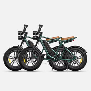 Bicicleta Eléctrica ENGWE M20 Económica en Venta en Almacén Europeo, Aleación de Aluminio, Llanta de 20 Pulgadas, Bicicleta Eléctrica para Adultos con Llantas Anchas - Product Image 1