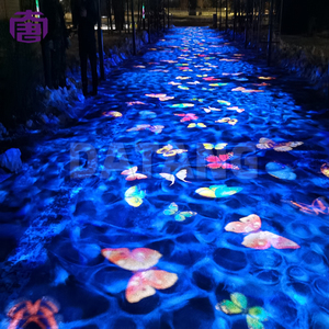 Système de projection d'ondulations d'eau pour les scènes des parcs à thème, les zones de piscine, les jardins des complexes hôteliers et l'éclairage extérieur immersif - Product Image 6