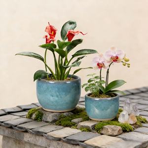 Grands pots à fleurs en céramique pour bureaux et balcons - Design moderne et écologique pour plantes grimpantes et succulentes - Direct Usine - Product Image 5