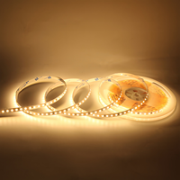 Haute qualité DC12V 24V SMD IP20 LED bande lumineuse bande Flexible blanc chaud/naturel/froid 10m longueur CE RoHS contrôleur certifié