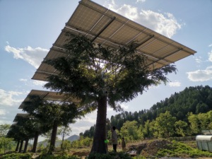 Rnkj thương hiệu linh hoạt Tấm Pin Mặt Trời thực vật PV cây (cây quang điện) cấu trúc năng lượng mặt trời sạc quang điện cây - Product Image 5