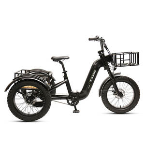 Tricycle électrique sans balais TXED 500W, moyeu arrière, cadre en alliage d'aluminium, batterie au lithium 48V 15Ah, autonomie de 60 km, vélo cargo à 3 roues - Product Image 1
