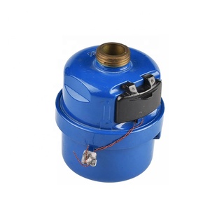 Đồng Hồ Đo Nước Piston Xoay Thể Tích ISO4064 R160 Class C Màu Xanh Dương Bằng Đồng Thau - Product Image 4
