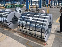 Entrega Rápida SGCC/CGCC/TDC51DZM/TDC52D A36 Q195 240 Z40 Bobina de Acero Galvanizado de Dureza Media con Recubrimiento de Zinc de 20-180g