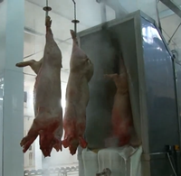 Système de canalisation de bain-marie pour carcasses de porcs en acier inoxydable SUS 304 pour abattoir, automatisé, haute sécurité, avec moteur et pompe