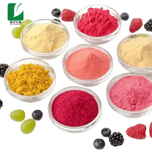 Mélange de Carottes, Framboise, Canneberge, Myrtille, Fraise, Poudre de Cassis, Boisson en Poudre de Fruits Biologique SuperFood