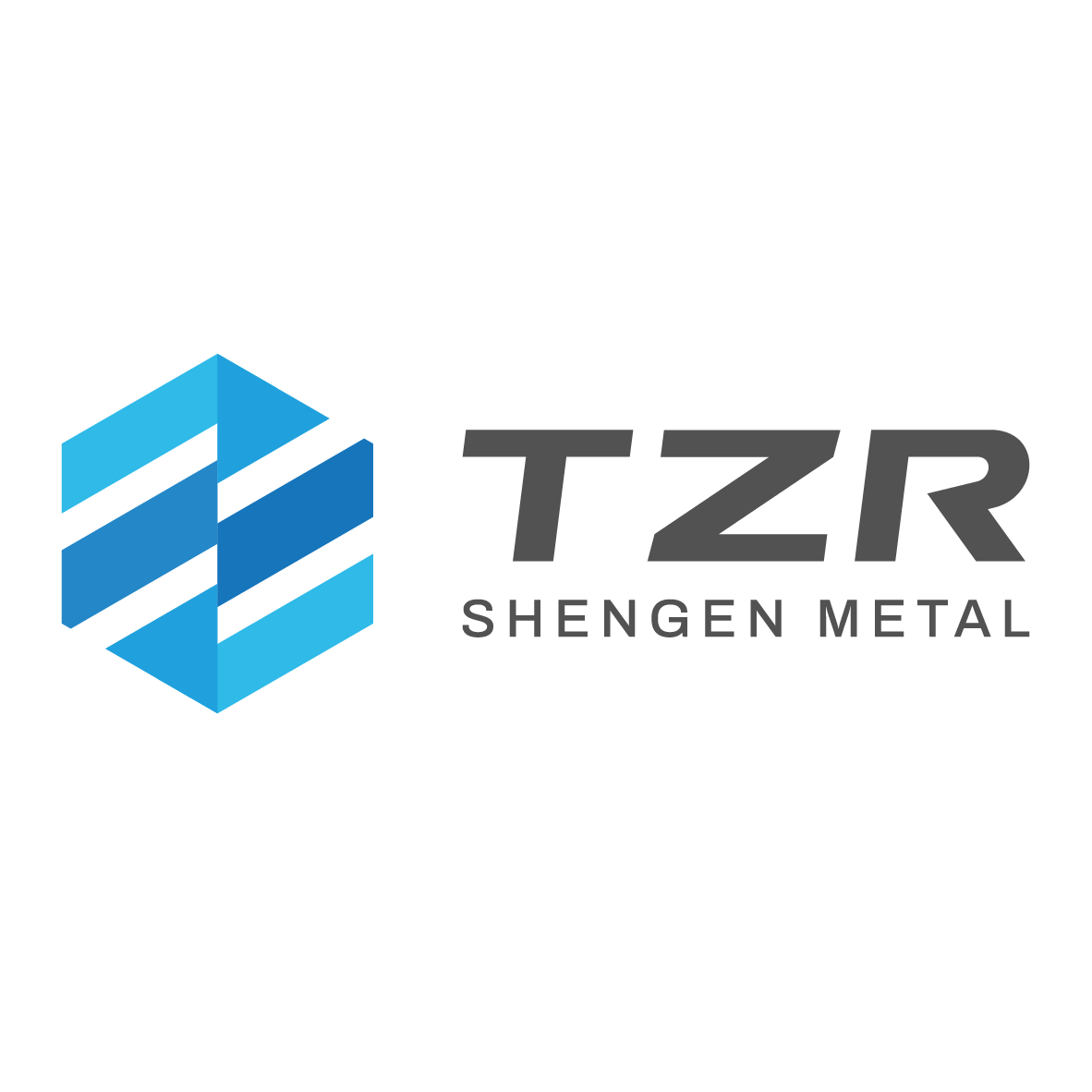 Dongguan Shengen Metal Co., Ltd. logo