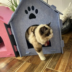 <span class=keywords><strong>Cama</strong></span> Cueva Plegable de Fieltro para Gatos, Diseño Nuevo, Casa para Mascotas de Felpa Suave <span class=keywords><strong>con</strong></span> Cojín, <span class=keywords><strong>Nido</strong></span> Interior para Dormir para Gatos y Perros Pequeños - Product Image 5