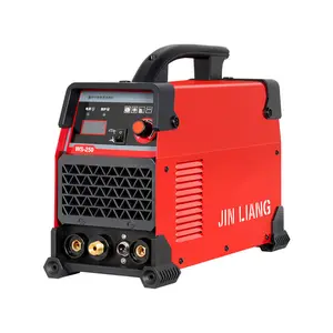 220V Multifunctional Stainless Steel TIG/MMA 2 in 1 Welder 250A IGBT Inverter Ac Dc Copper Wire Argon Arc Welding Machine WS-250