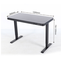 Bureau électrique réglable en hauteur autonome ergonomique de haute qualité Nate 2AR2, plateau en verre moderne convertible pour le bureau et la maison