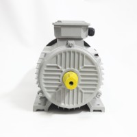 YE2-160L-4 15kW AC Dreiphasenmotor 4-polig 1450 U/min für Pumpenanlagen