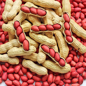 This Seasons Red Skin Four-grain Red-skinned Shelled Peanuts New Crop Sun-dried; Red-skinned Groundnut <strong>Kernels</strong> - Product Image 2