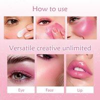 Kit de fard à joues multi-usages waterproof Vegan Mineral Makeup Kit pour les pigments liquides changeant de couleur de peau claire pour le visage