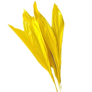 Decoración <span class=keywords><strong>de</strong></span> boda para el hogar Flores secas Blanqueadas Blanco Eterno Conservado Orquídea Manojo <span class=keywords><strong>de</strong></span> <span class=keywords><strong>hojas</strong></span> <span class=keywords><strong>de</strong></span> <span class=keywords><strong>Magnolia</strong></span> secas - Product Image 5