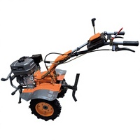 Motoculteur à essence 1050 mm de largeur avec boîte de vitesses 2,5 L pour le désherbage des vergers, 7 CV, pour exploitation agricole moyenne, Vietnam, Philippines