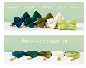 Ensemble de clochettes pour chat en velours personnalisé, ensemble de laisse pour chaton personnalisé, collier personnalisé pour chiot avec nœud papillon pour Noël - Product Image 2