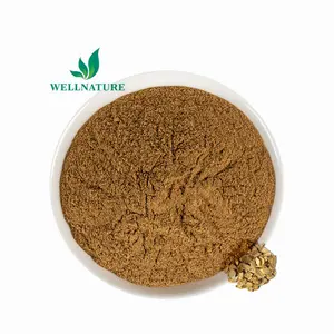 Natural Astragalus Root Membranaceus Extract Powder Sonwu Benefits Astragalus Extract