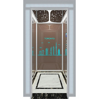 Ascenseur de villa en acier de style moderne avec miroir mural et plafond LED, design contemporain, capacité de 400 kg