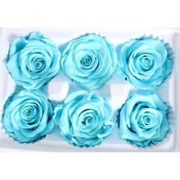 Lot de 6 roses éternelles de qualité supérieure (5-6 cm) – Rouge, Blanc, Rose – Vente en gros de roses préservées pour arrangements floraux DIY et cadeaux de la Saint-Valentin
