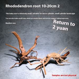 천연 보라색 티크 뿌리 유목 원피스 나무 수족관 장식 친환경 수생 식물 가지 물고기를위한 나무 뿌리 - Product Image 6