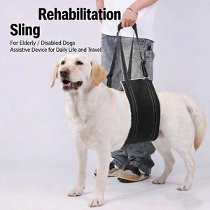 Harnais de soutien arrière pour chiens âgés, équipement de levage pour chiens à pattes cassées, support de hanche pour animaux de compagnie, harnais de maintien pour grands animaux - Product Image 6