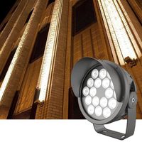 Projecteur d'extérieur LED 120W étanche petit Angle projecteur mural extérieur d'hôtel laveuse murale longue distance avec indice IP66