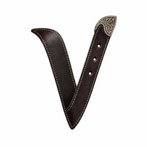 Cinturón de Diseño Jiahao, Estilo de Alta Gama, Personalizable en Color y Material, Cierres Y2K RL, Cinturones de Diseñador 1 1 - Product Image 2