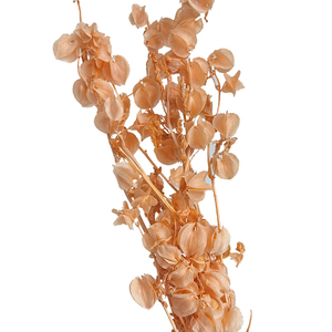 Wholesale Event Decorations Resin Art Real Natural Immortal <strong>Dried</strong> <strong>Plants</strong> and Preserved Flowers - Product Image 4