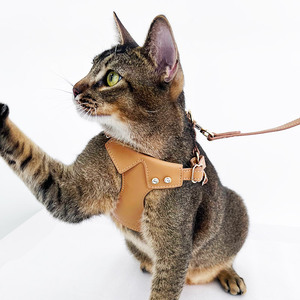 <strong>Dog</strong> <strong>Harness</strong> And Leash Set Wholesale Stocked Small Pet Chest With <strong>Rhinestones</strong> Waterproof Luxury Vegan Leather Collar Leads - Product Image 6