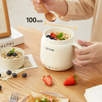 Appareils électroménagers de cuisine au design tendance 2025, mini-bouilloire électrique pour le thé, pour les voyages et le bureau.