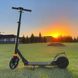 New Version 8 Inch Long Range 150w 22v Foot Brake Adult Electric Scooters