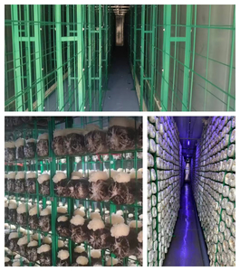Commercial Turnkey Mushroom Farm Smart Growing Container with Automatic Humidity Temp Climate Control System Mushroom Growing - Product Image 1
