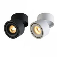 Spot lumineux LED de Surface pour le plafond, 360, montage en Surface réglable, éclairage COB, 10W, 20W, 30W, 40W
