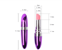 Mini Bullet Vibrator 10 Frequenzen Fernbedienung USB Aufladbar Klitoris G-Punkt Stimulation Nippel Sexspielzeug für Frauen