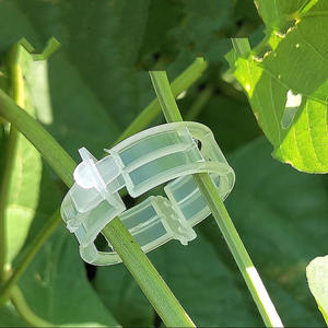 Clip de fixation pour plantes DaringFish, clip de croissance, dispositif de suspension, clip de greffage pour tomates, vignes de concombres, clip de liaison - Product Image 6