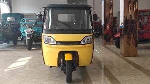 Nouveau tricycle cargo à moteur à essence puissant et fiable togo 150cc/200cc, <span class=keywords><strong>moto</strong></span> cargo Bajaj, trike van - Product Image 5