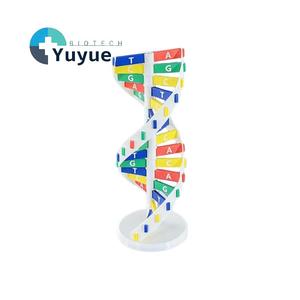 Modelo de Doble Hélice de ADN <span class=keywords><strong>para</strong></span> Armar, Juguete Educativo con Bases Genéticas de Colores, <span class=keywords><strong>para</strong></span> Demostraciones <span class=keywords><strong>en</strong></span> Clases de Biología y Ciencias - Product Image 1