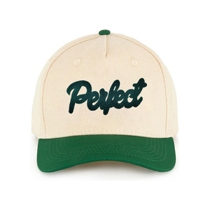 Unisex 5-Panel personalizado imprimible sublimación algodón organizador portador deportivo imagen estilo 2 tonos sombrero gorras de béisbol - Product Image 3