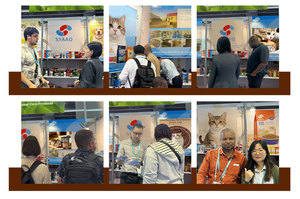 Nourriture humide pour chat, saveur thon et poulet, pâté de poulet lisse pour chatons, pâté 3 oz (85 g), nourriture humide pour chat - Product Image 5