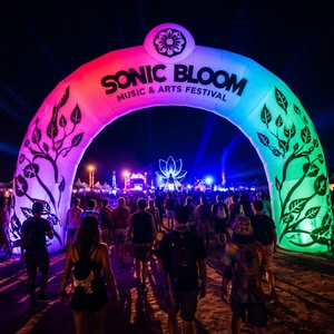 Summer Carnival Custom <b>Large</b> Size Advertising <b>Inflatable</b> Event Arch for Outdoor Display - Product Image 5
