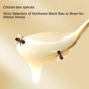 แบรนด์ Beijing Tongrentang ปักกิ่งสีดำผึ้ง Tilia ต้นไม้หิมะน้ำผึ้งบริสุทธิ์ธรรมชาติน้ำผึ้งของแท้ - Product Image 3