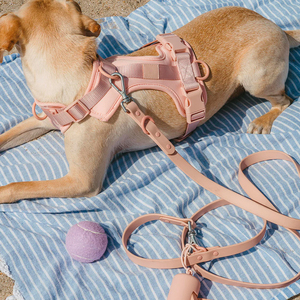 Ensemble collier, laisse et harnais pour chien Roki, rose clair, doux, confortable, réglable, en polyester, avec sac à déjections pour les promenades quotidiennes. - Product Image 5