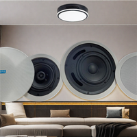 Système de Son Cinéma Maison BGM sans Fil WIFI pour Haut-Parleur Bluetooth 5.1/7.1/6.2, 30W*5 + 80W Sortie Multi-Canal Haut-Parleur de Plafond XLR AUX