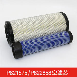 Elemento de Filtro de Aire para Excavadora Modelo 4417516 P821575 AF25551AF25552 P822858 - Product Image 4