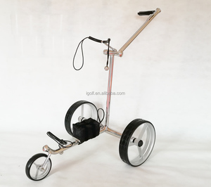 Carrito de Golf Eléctrico Económico, Estructura de Acero Inoxidable, Entrega Rápida, Potente, Autonomía de 20 km - Product Image 2