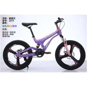 2025 Nieuwe Kinderen Magnesiumlegering Frame 20 Inch 7 Speed Schijfrem 2.35 Band Volwassen Fietsbuis Mannen Kinderen Mountainbike - Product Image 1